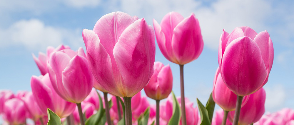 個別相談＆説明会